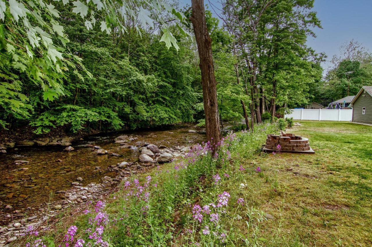Cabin By The Creek With Private Creek Access Танерсвил Екстериор снимка