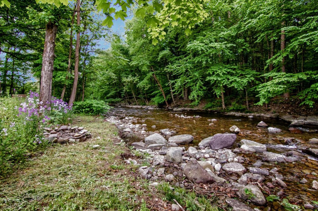 Cabin By The Creek With Private Creek Access Танерсвил Екстериор снимка
